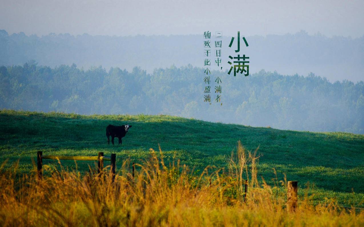 专业24小时自助下单