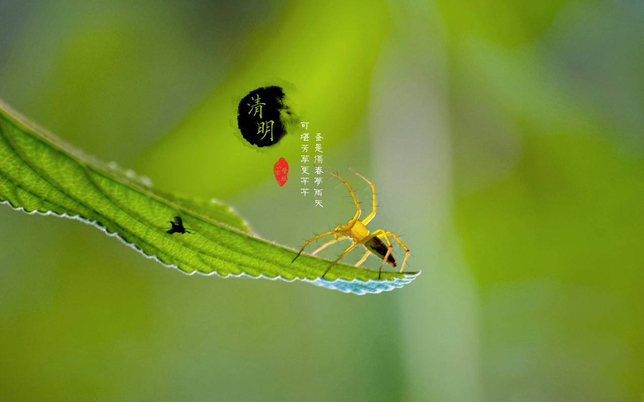 100个双击两元快手,抖音刷微粉