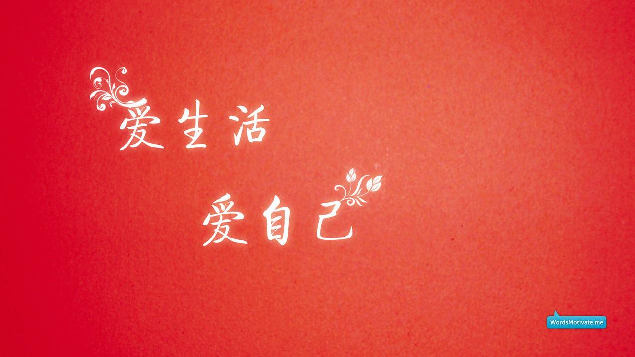 快手低价刷粉网址,免费领取快手粉丝1000软件