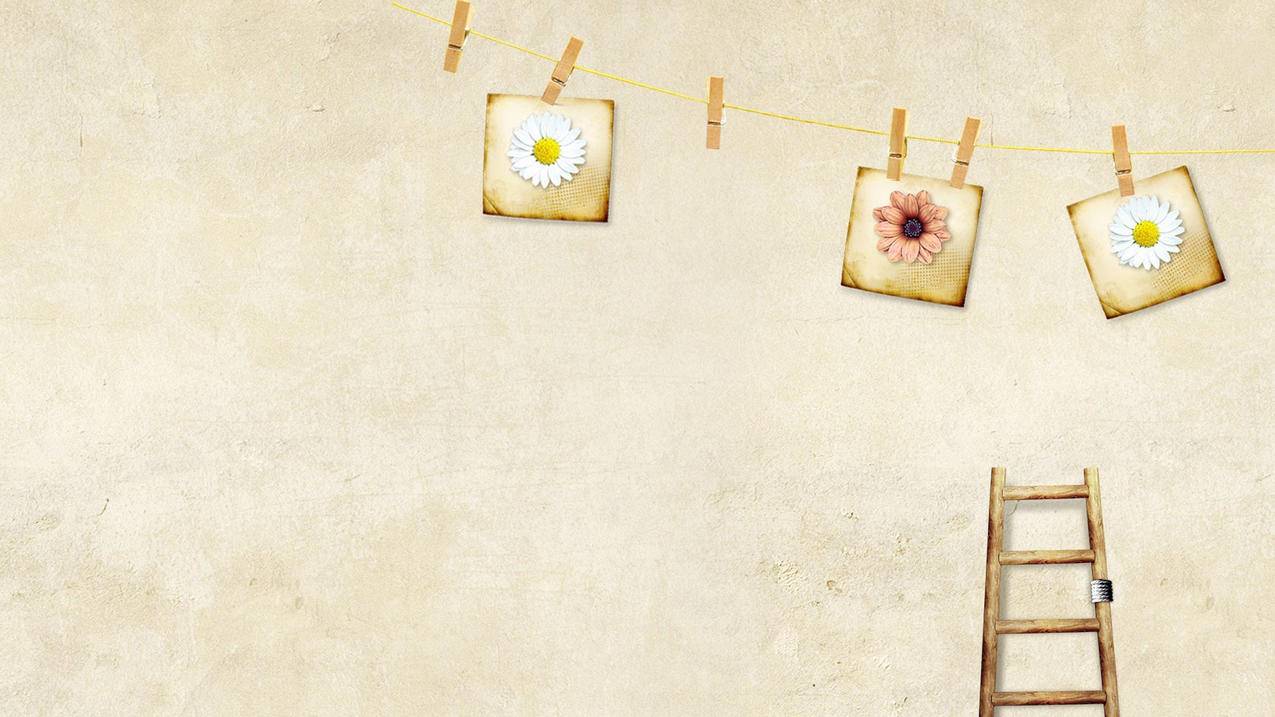 快手网红神器app,