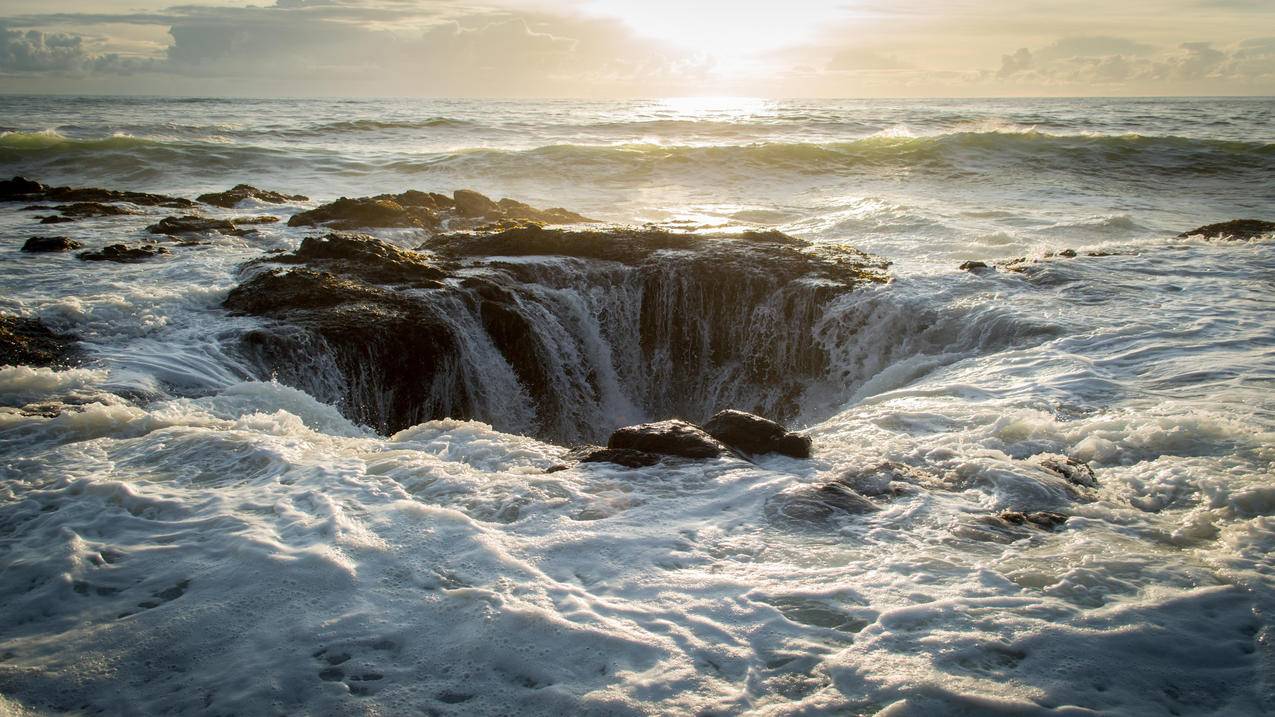 抖音粉丝刷平台-雷神快手代刷在线涨粉平台